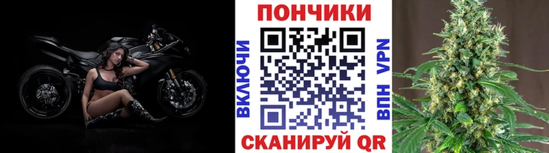 Купить  Калязин  Бошки марихуана OG Kush 